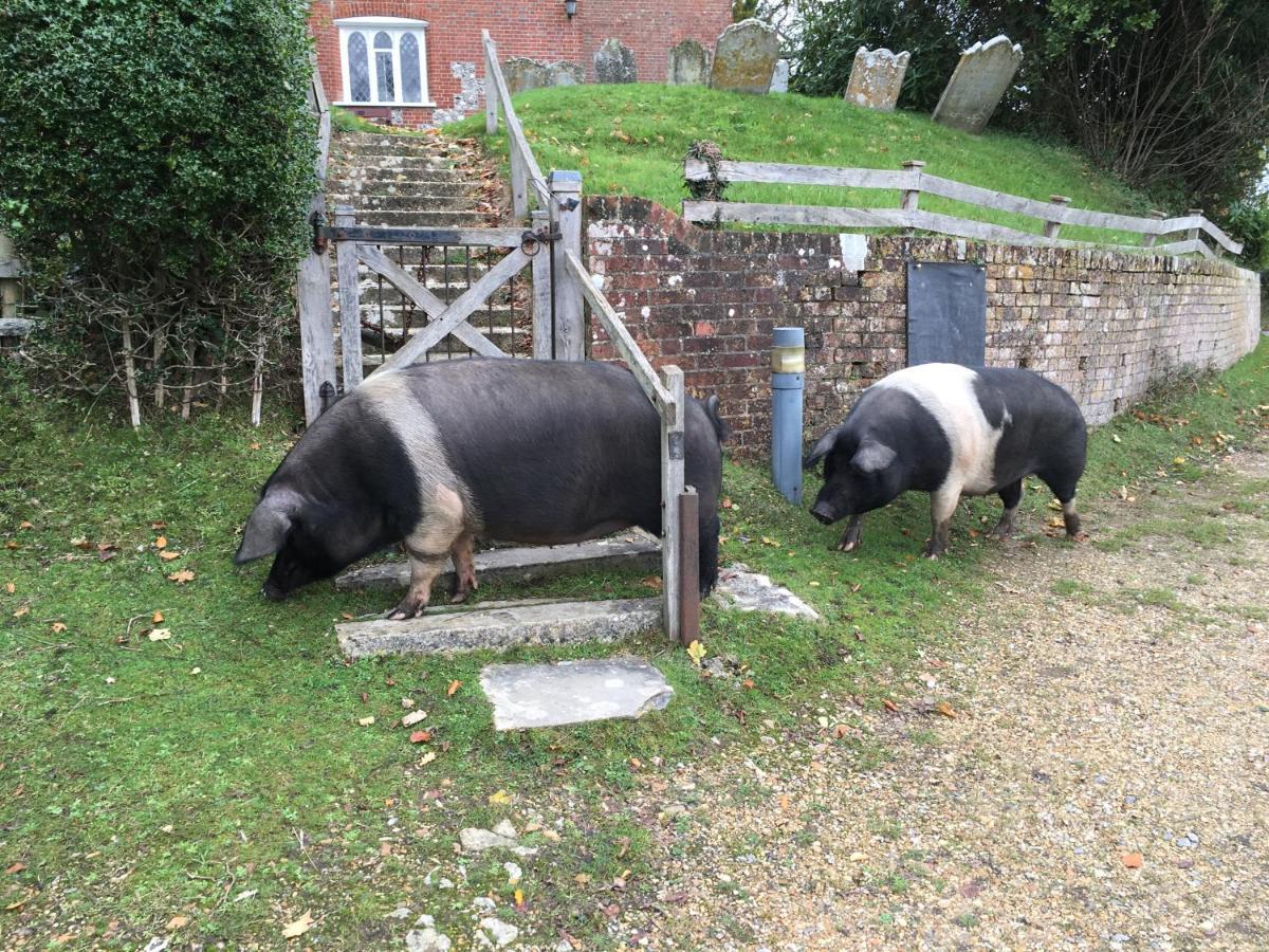 No 64 Bed And Breakfast Lymington Esterno foto