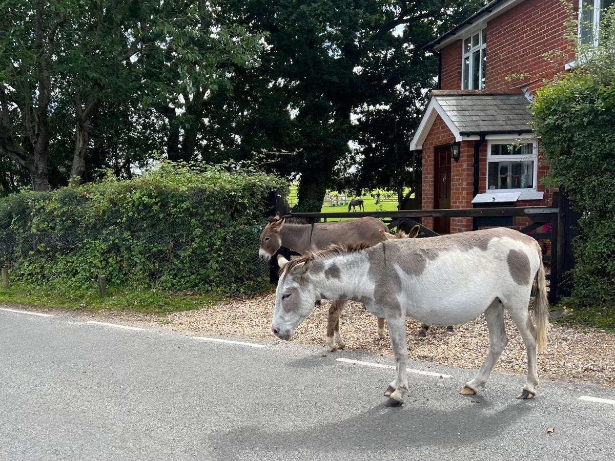 No 64 Bed And Breakfast Lymington Esterno foto